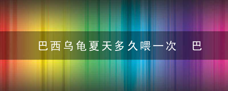 巴西乌龟夏天多久喂一次 巴西乌龟夏天多长时间喂食一次呢